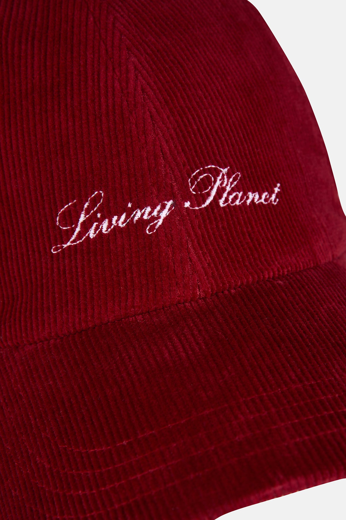 Living Planet Kadife Cap - Bordo