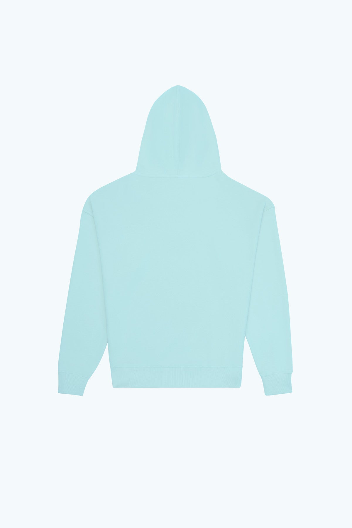 Sincap SuperSoft Hoodie - Mint
