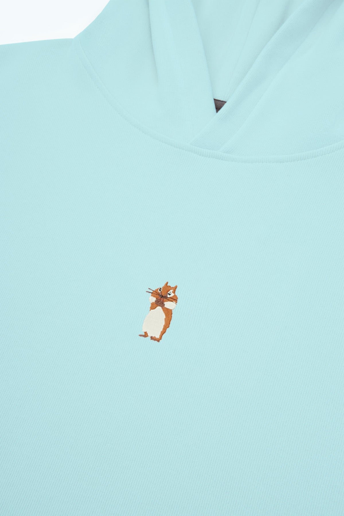 Sincap SuperSoft Hoodie - Mint