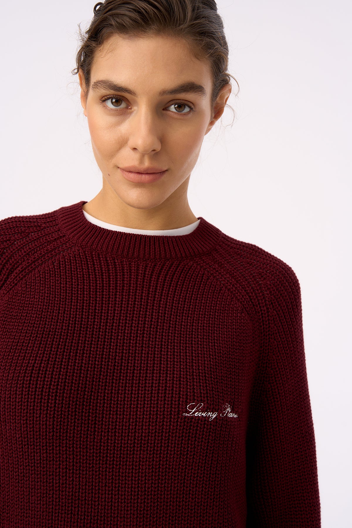 Living Planet Bisiklet Yaka Triko Sweater - Bordo