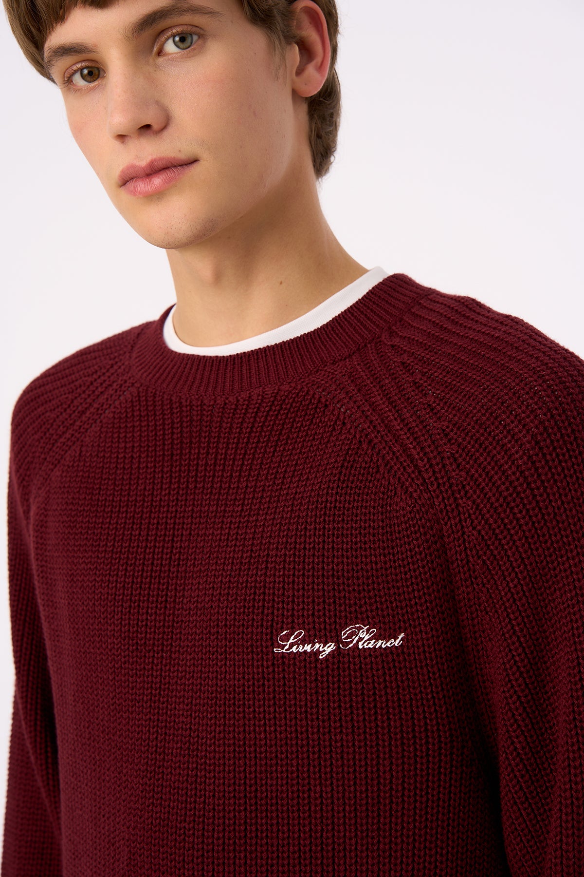 Living Planet Bisiklet Yaka Triko Sweater - Bordo