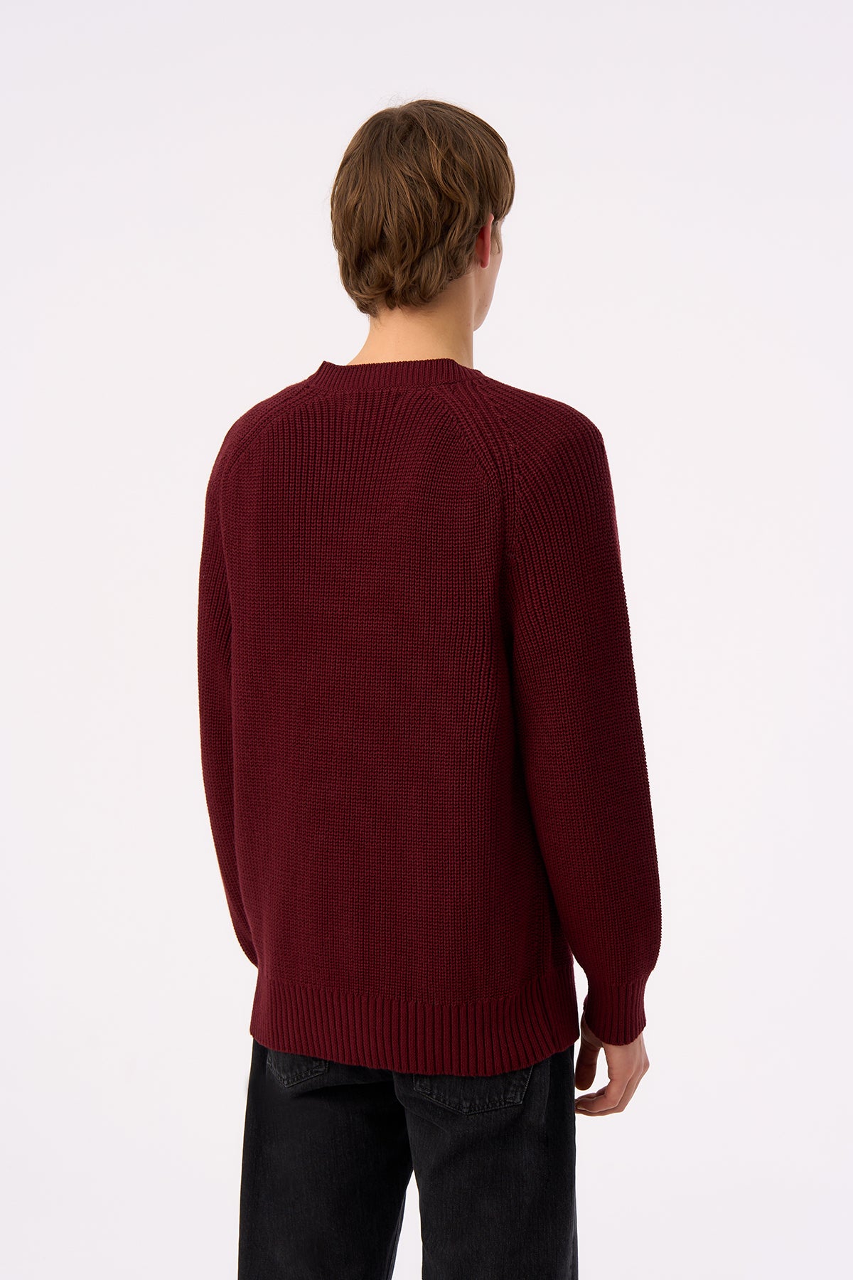 Living Planet Bisiklet Yaka Triko Sweater - Bordo