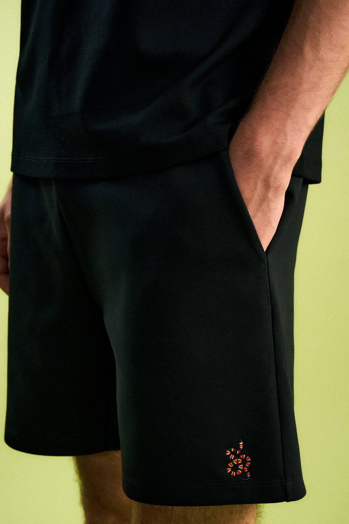 Mercan Yılanı Erkek Premium Şort - Siyah