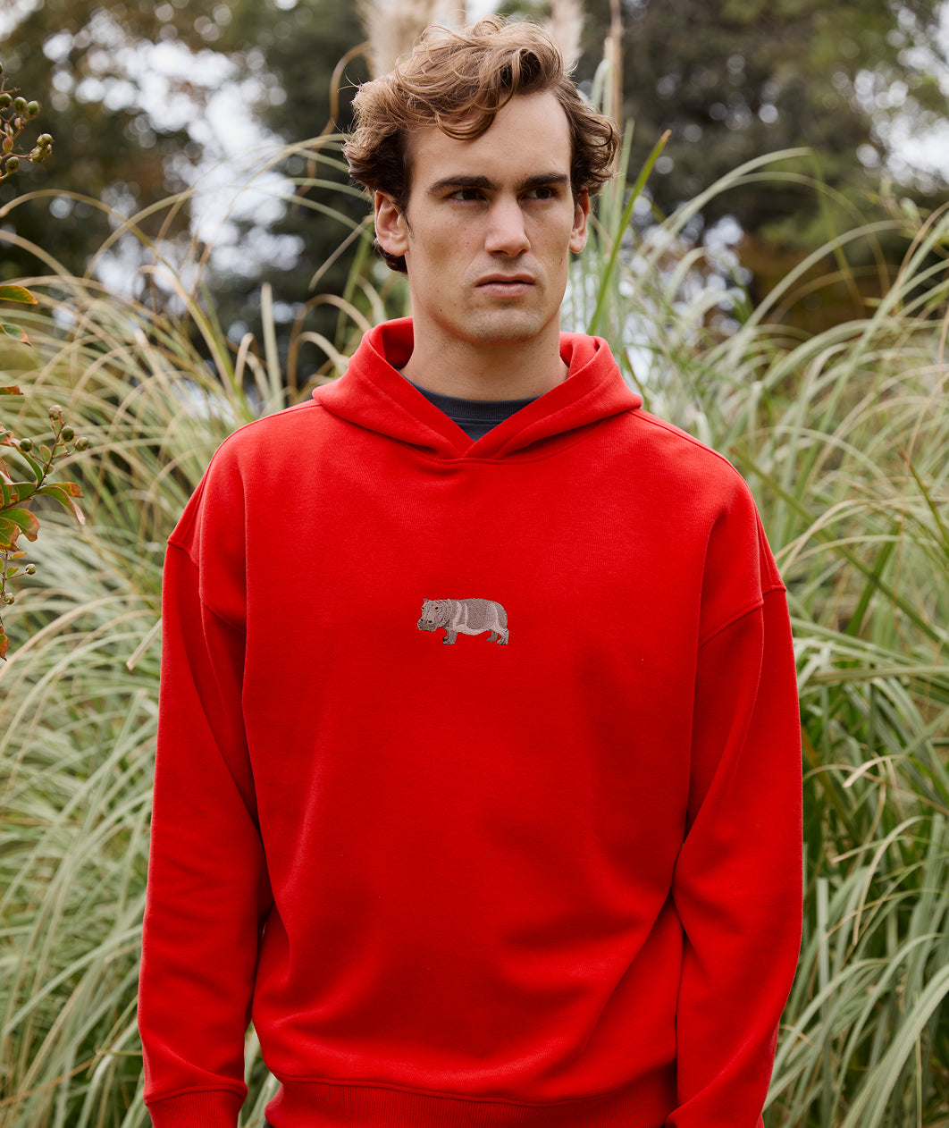 SuperSoft