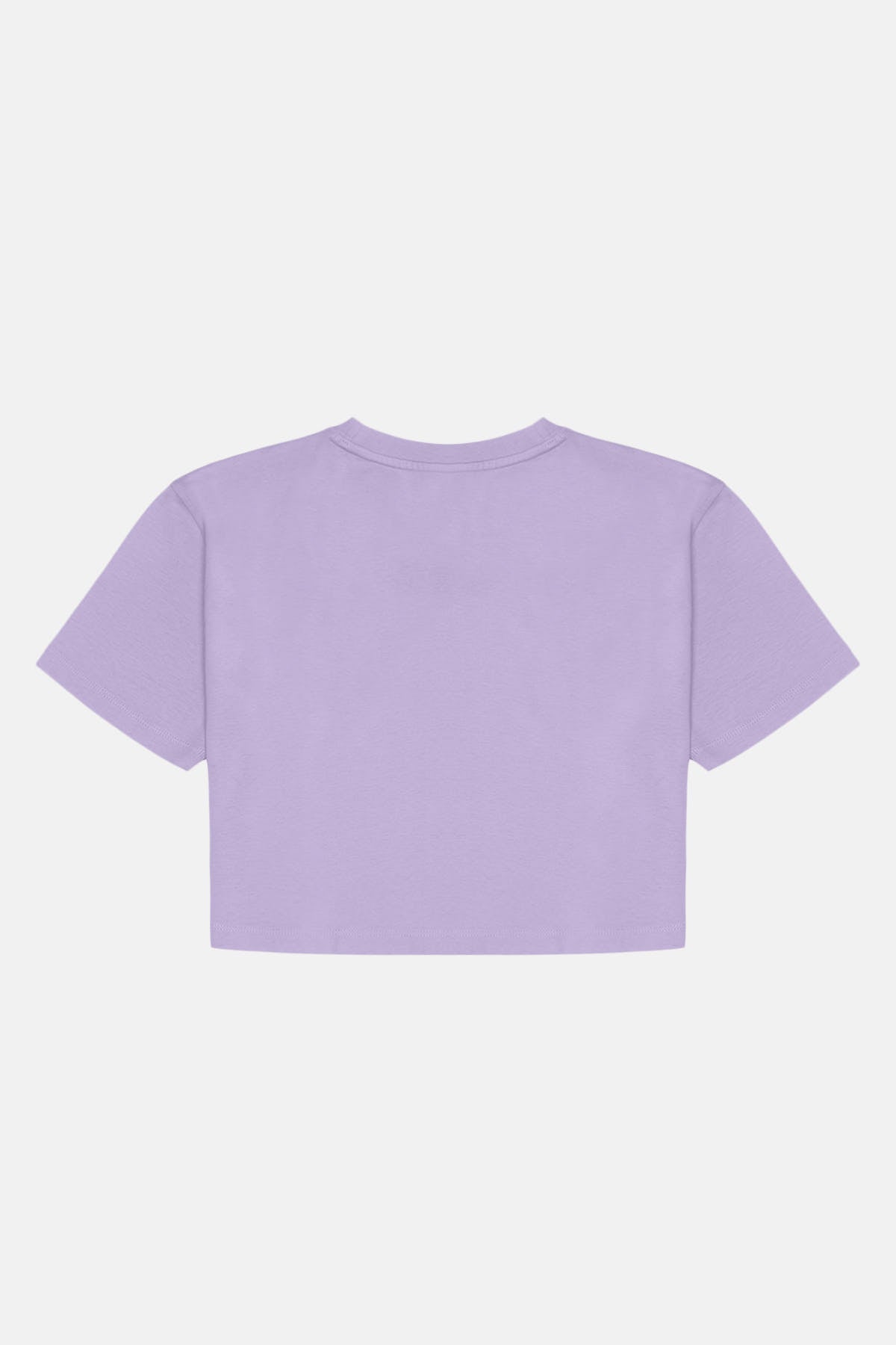 Giant Panda Lightweight Crop T-Shirt - Lila