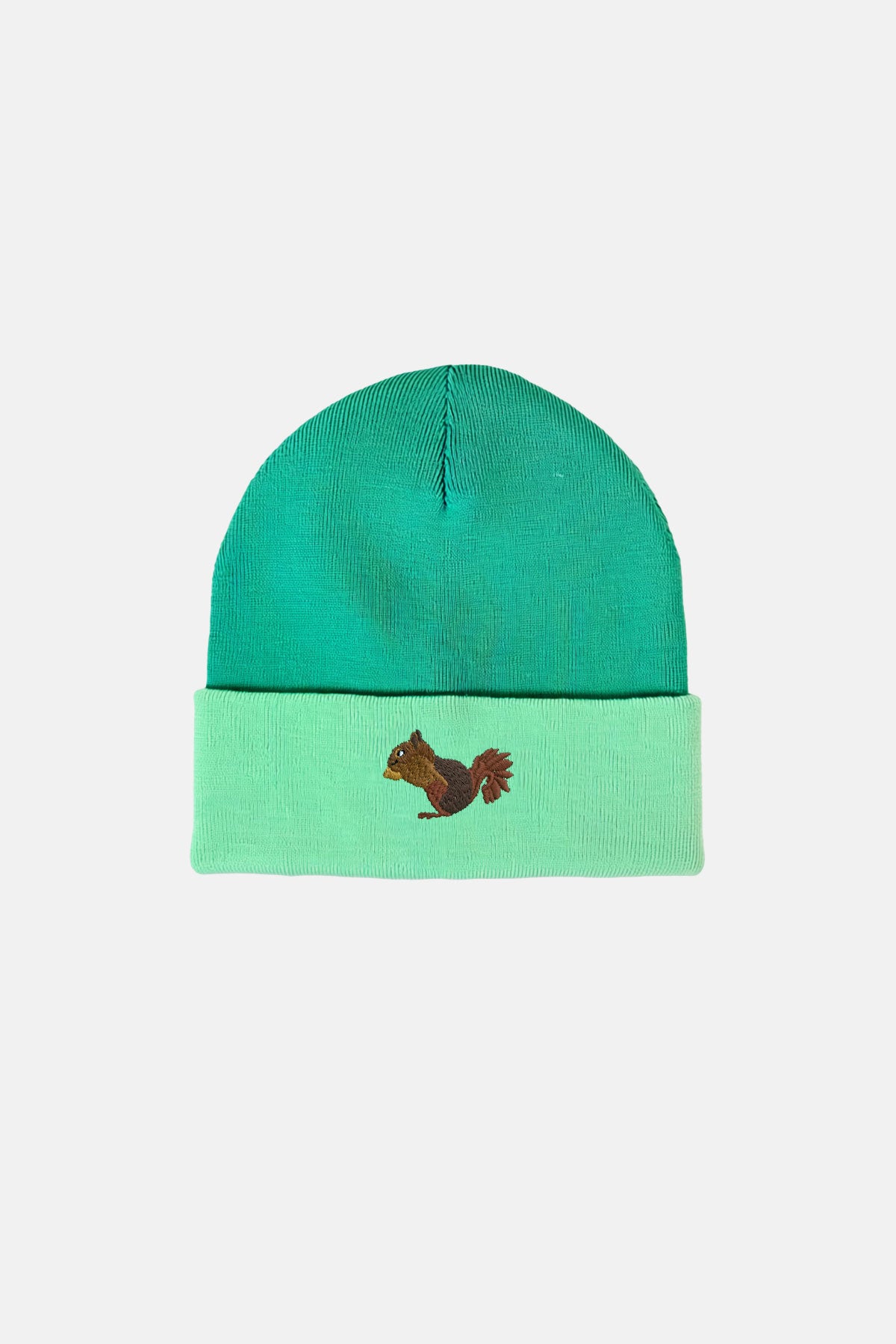 Sincap Triko Örgü Bere - Yeşil