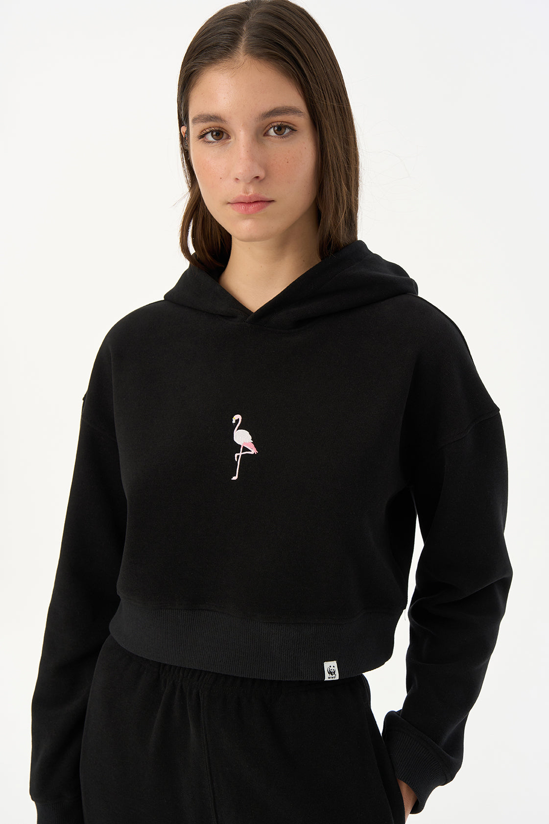 Flamingo Super Soft Crop Hoodie - Siyah