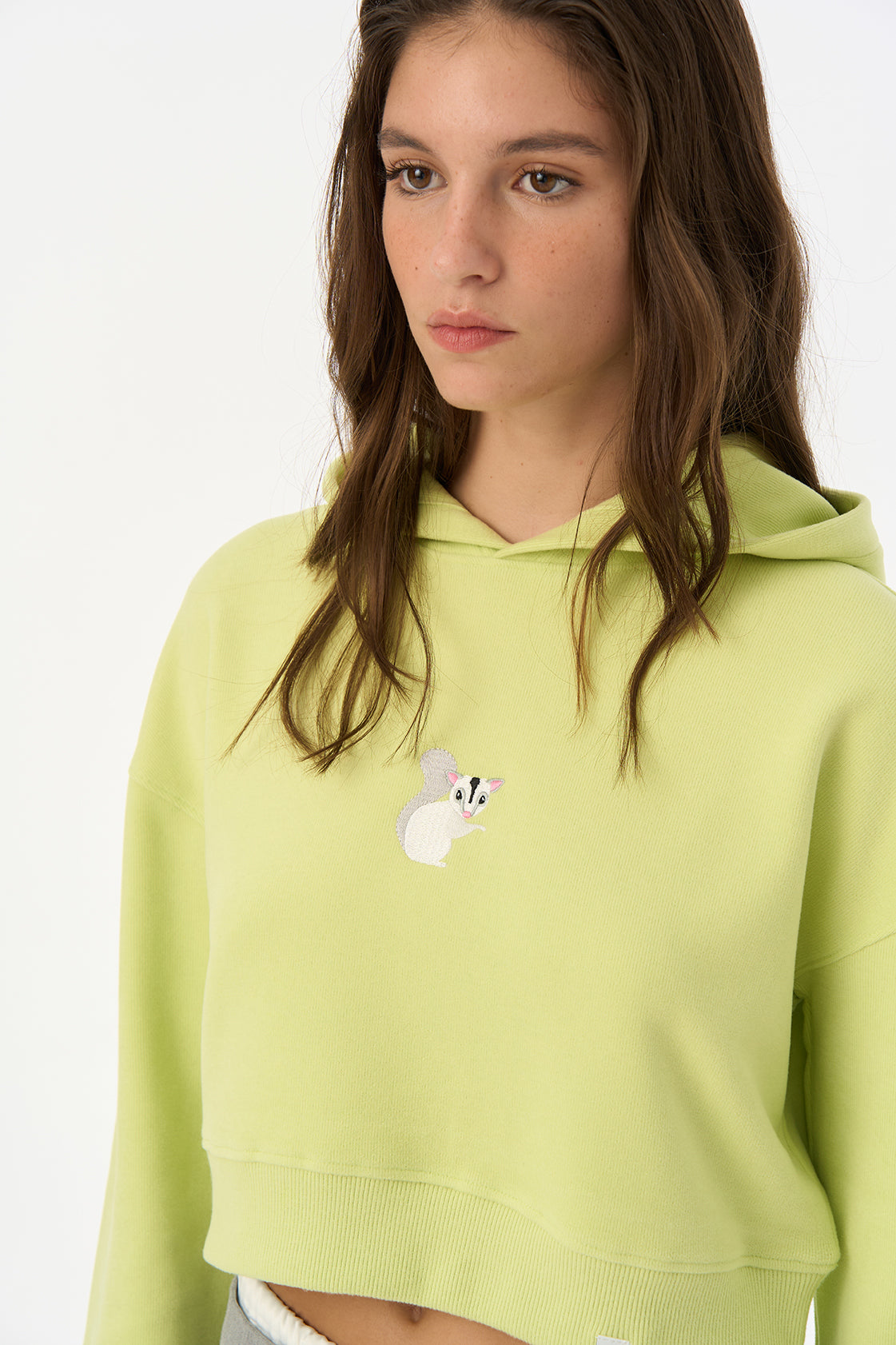 Sugar Glider Super Soft Crop Hoodie - Yeşil