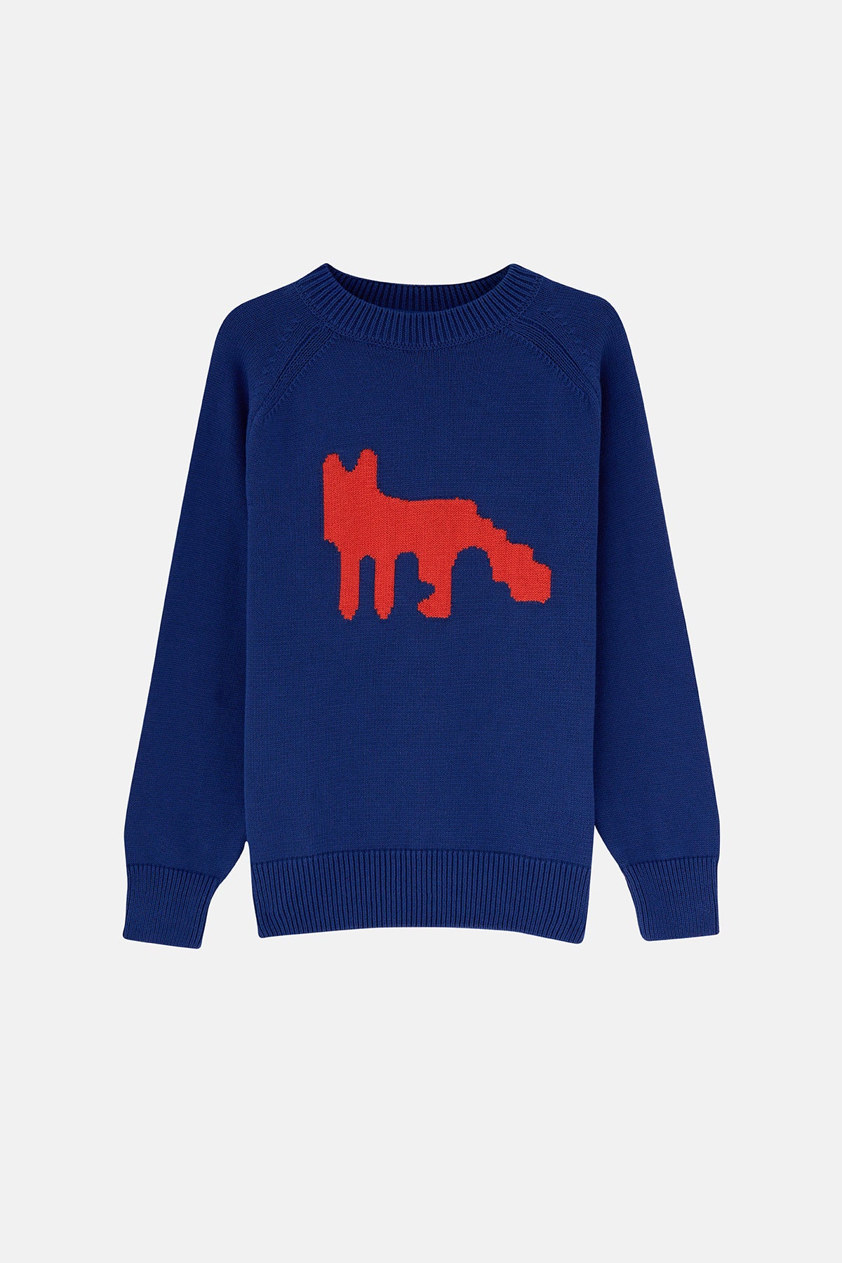 Kızıl Tilki Triko Crew Neck Sweater - Lacivert
