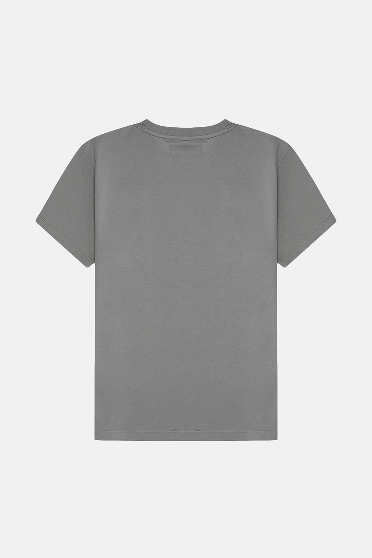 Basic Premium T-shirt - Gri