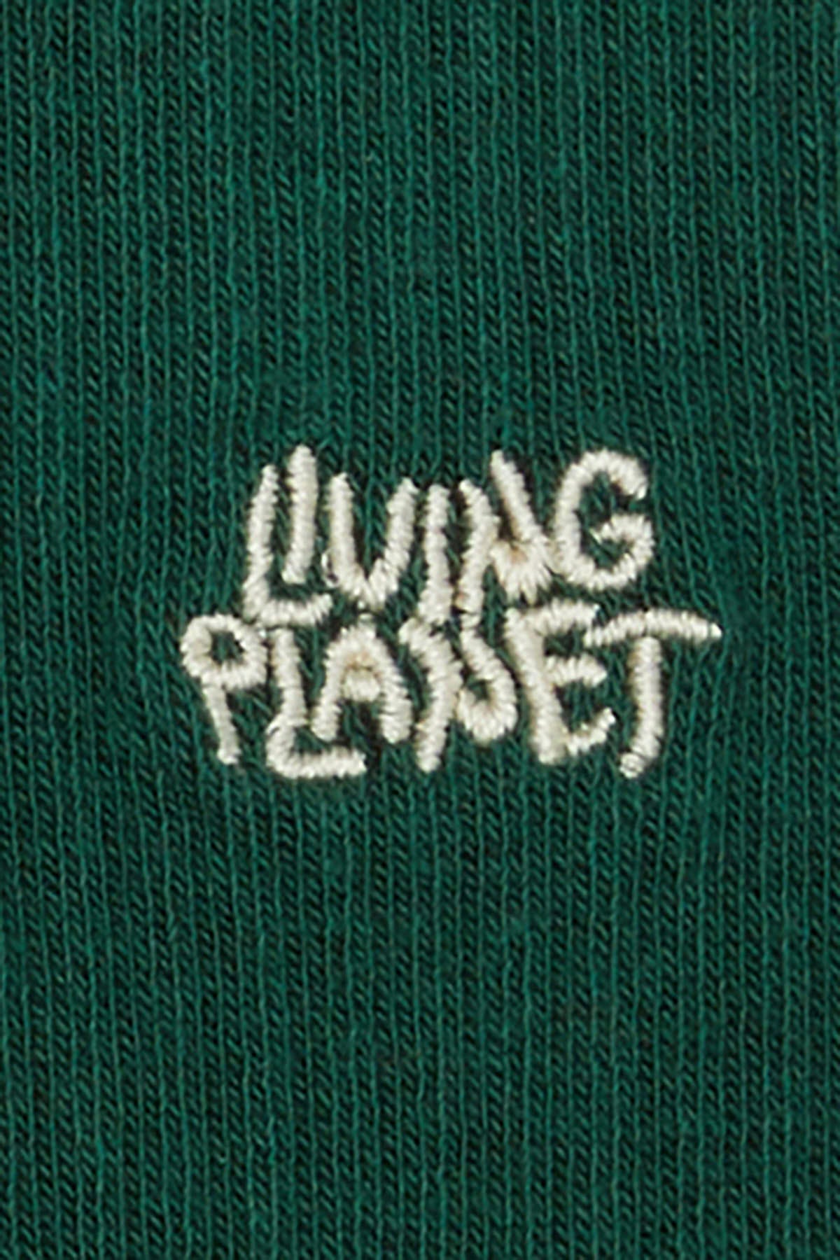 Living Planet Çorap - Yeşil/Sarı