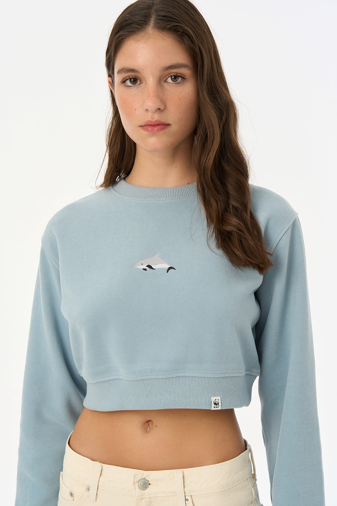 Crop sweatshirt online online