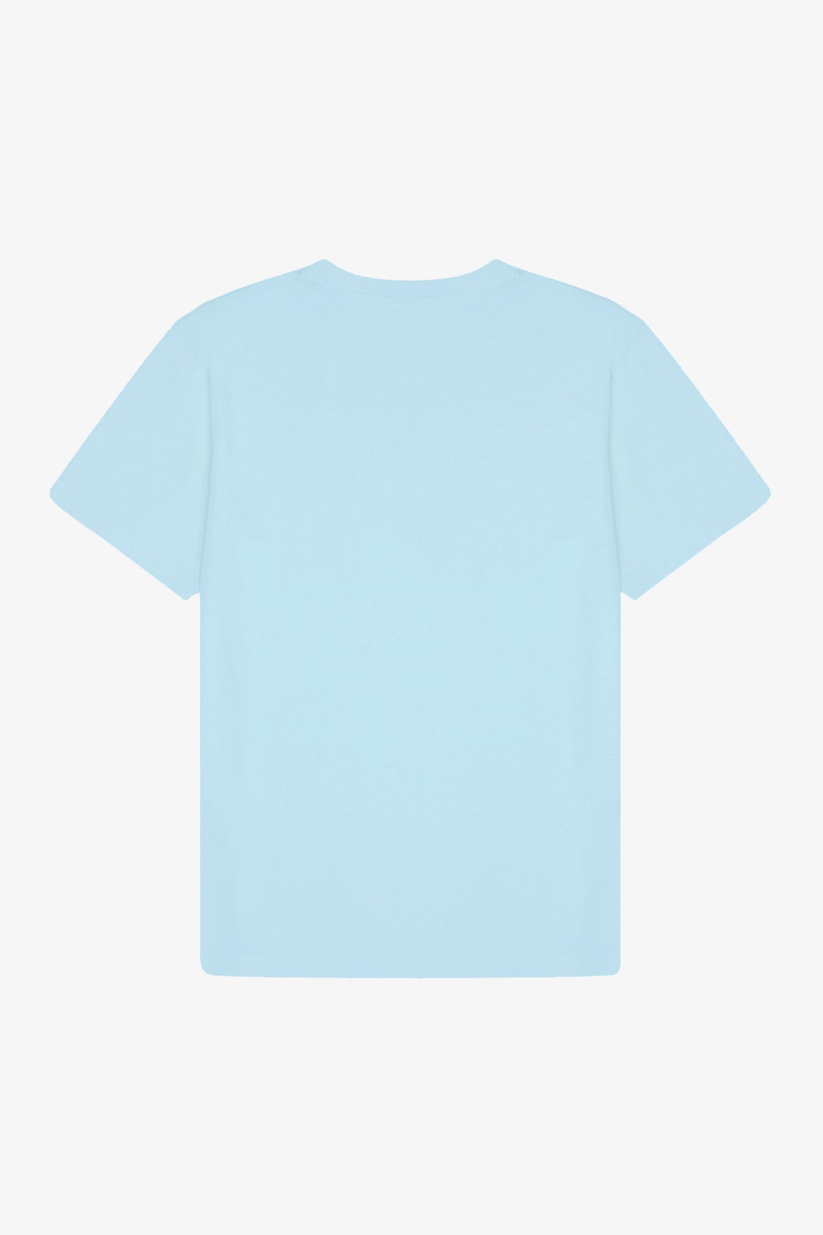 Yavru İmparator Penguen Light-Weight T-shirt - Mint Mavi