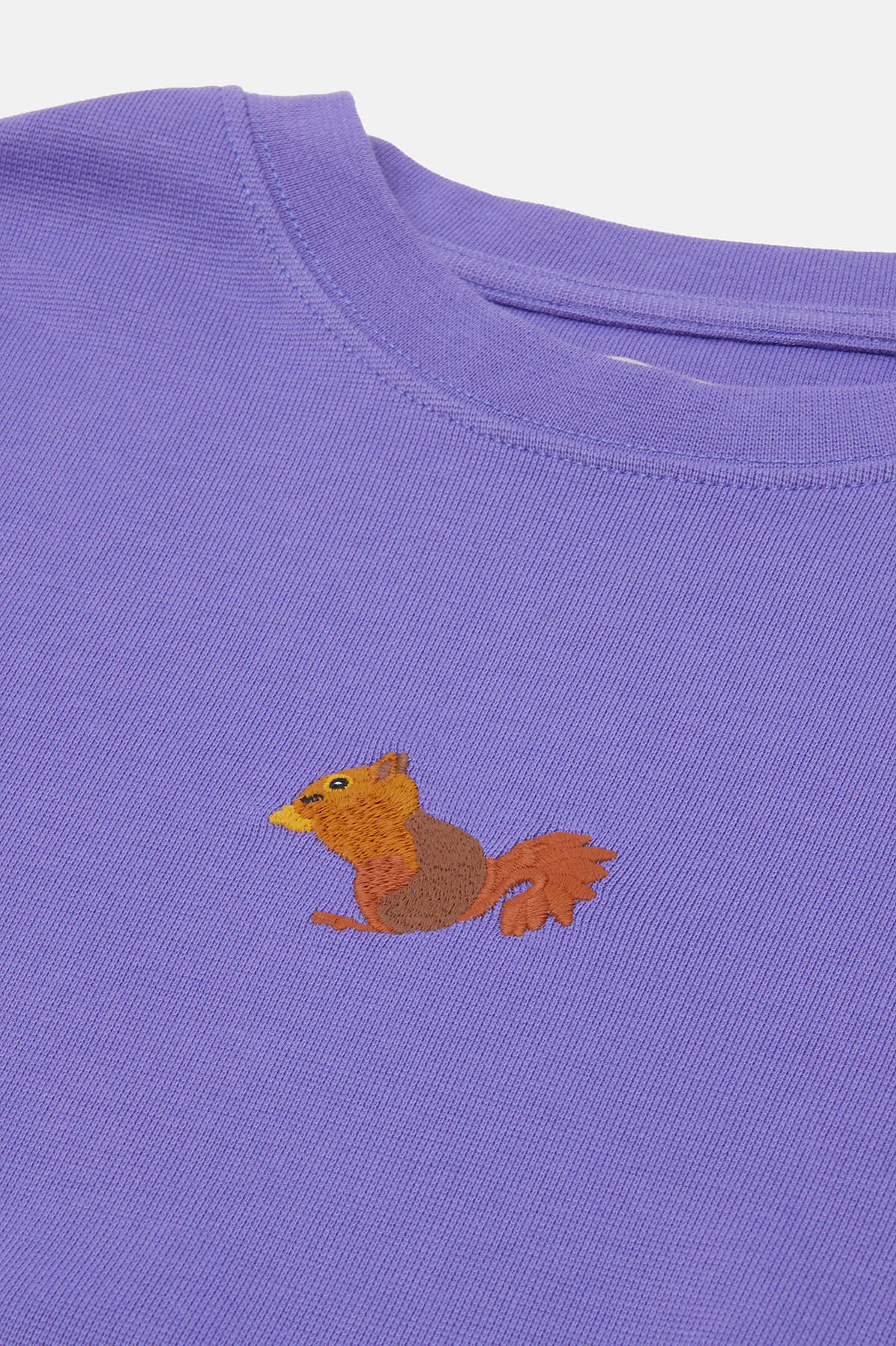 Sincap Crop T-shirt - Mor