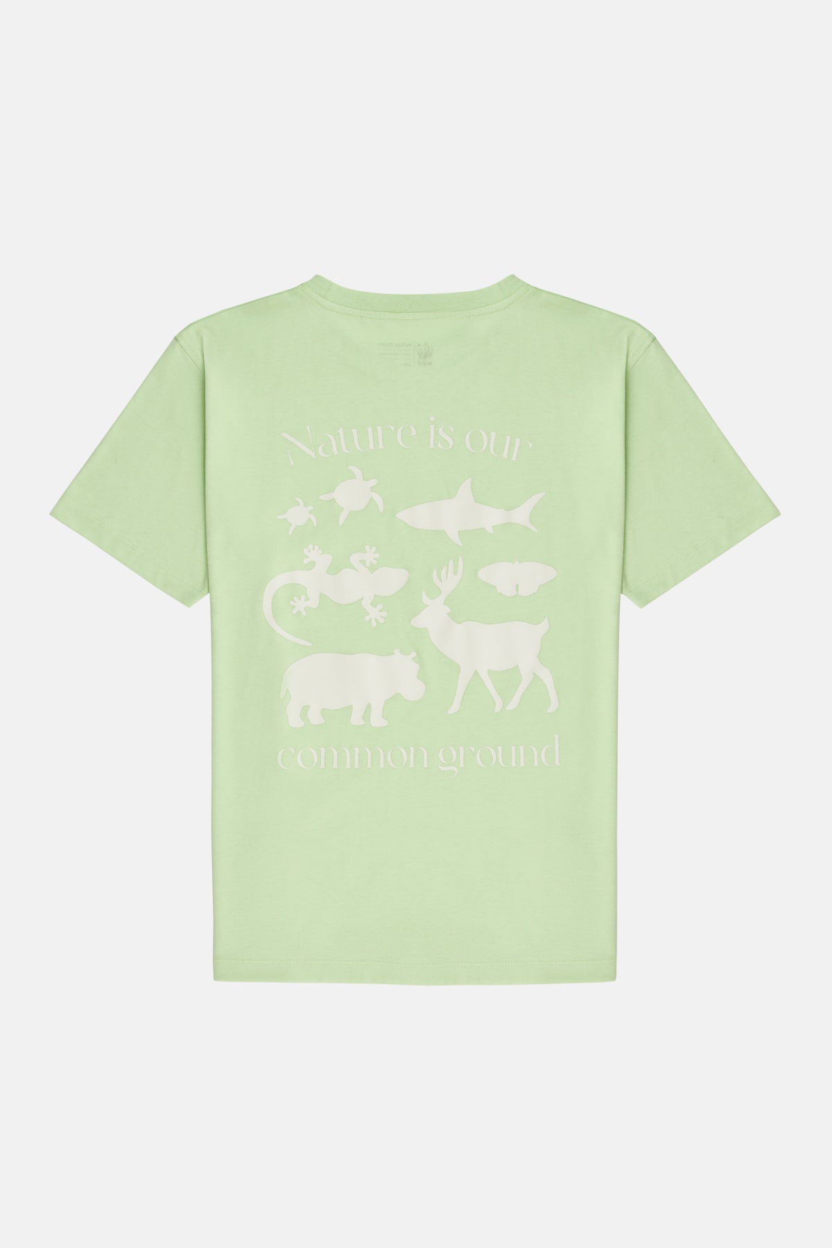 Common Ground Light-Weight T-Shirt - Fıstık Yeşili